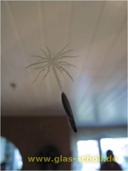 (c) 2005 www.Glas-Scholl.de